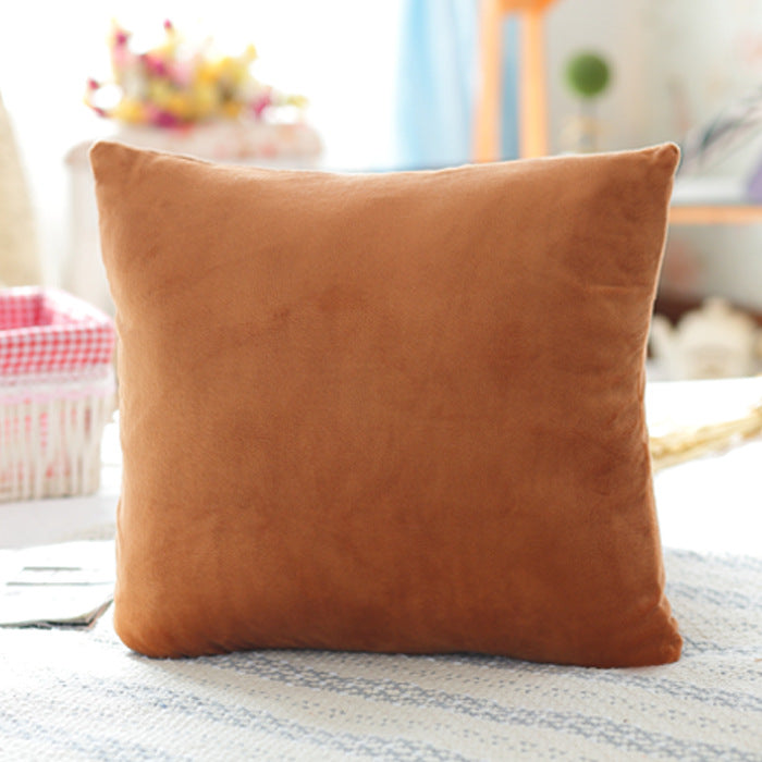 Mink velvet pillowcase