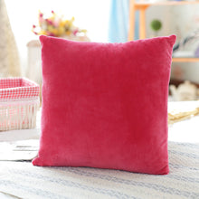 Load image into Gallery viewer, Mink velvet pillowcase
