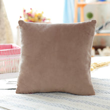 Load image into Gallery viewer, Mink velvet pillowcase
