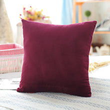 Load image into Gallery viewer, Mink velvet pillowcase
