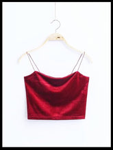 Load image into Gallery viewer, Vintage Velvet Crop Top
