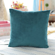 Load image into Gallery viewer, Mink velvet pillowcase
