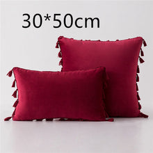 Load image into Gallery viewer, Tassel velvet sofa pillowcase
