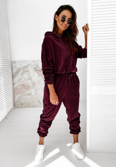 Velour Solid  Rich Colored Tracksuit